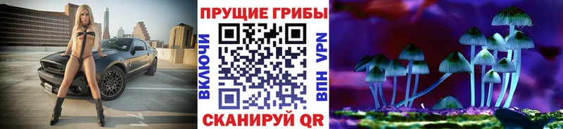 Купить где Лакинск Галлюциногенные грибы ЛСД
